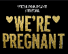 Were Pregnant Sticker