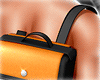 🔥DD Bag v1