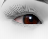 brown mesh eyes