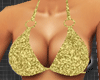 *-*Sexy Gold Bikini
