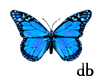 db butterfly blue