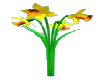 Daffodils *animated*