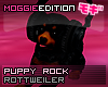 ME|PuppyRock|Rottweiler