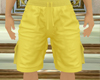 Fashion Shorts Techwear