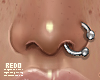 Silver nosering
