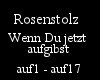 [DT] Rosenstolz - Aufgib