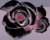 [SL]2side dragon/rose
