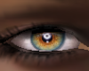ARC*Asteri real eyes