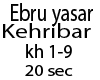 S E.Yaşar-Kehribar