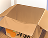 Mikan Box
