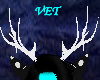 [Vet] Deer antlers