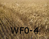 Wheat Field DJ Light