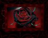 Black Rose In Red Frame