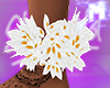 ♚ Daisy Ankle Flower