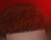Cert Ginger  Haircut