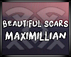 [ALF] Beautiful Scars