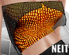 NT F Gold Top GES