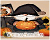Fall Gnome Pumpkins