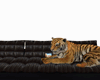 Tiger Couch