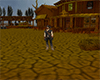 Western Cowboy