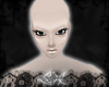 -LEXI- B.I.R.T.H.  Skin