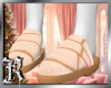 ð½ | Shell Vanilla [M]