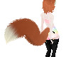 Ginger Neko Tail