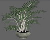 Floor  Vase