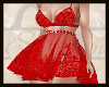 C073(X)red lace lingerie