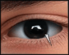 s. Eyes Black AZ