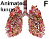lungs inside flowers - F