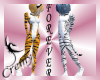 ¤C¤ Tigers love forever