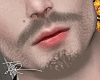 Tr.BlondeBeard