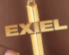 REQUEST/ EXIEL