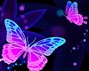 Neon Butterfly Box