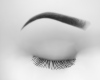 Perfect Brows Black