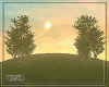 ∞ Solvita V2