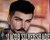 Jm Jacob Silvershade