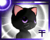 Black Kitty Cat M/F