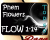 Phem - Flowers
