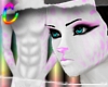 C; PinkSpots Fur M