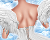 Angel Doll Wings