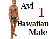 Avi Hawaiian Male 1