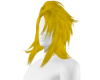 (D) Koda. hair 2
