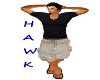 Hawk Sticker 2