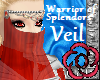 Warrior of Splendor Veil