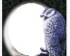 Snow Owl Avatar Frame
