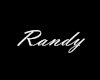 Randy Name Necklace