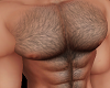 Muscle & Body Hair