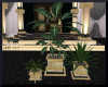 elegant ballroom plant